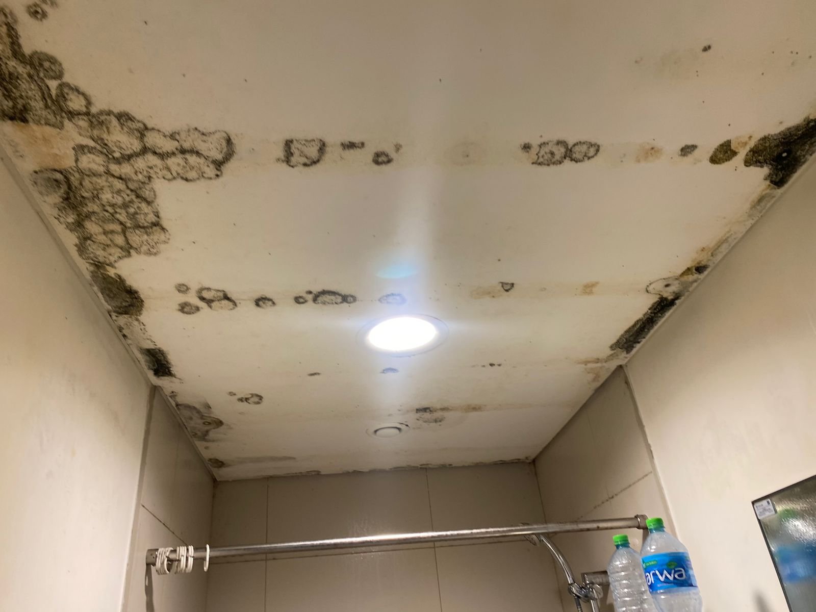 mold in bathroom shower due to stagnant water and dampness