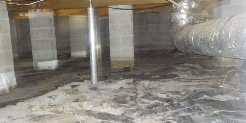 mold in crawl space due to hidden leakages and stagnant air