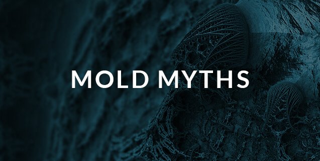 mold myths