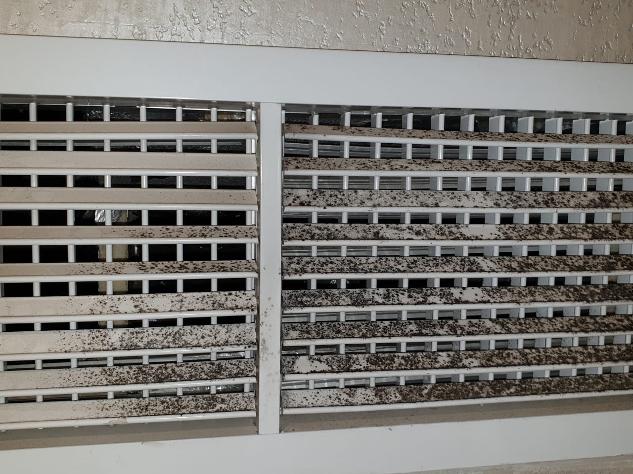 mold growth on ac grills/ vents due to high humidity and moisture