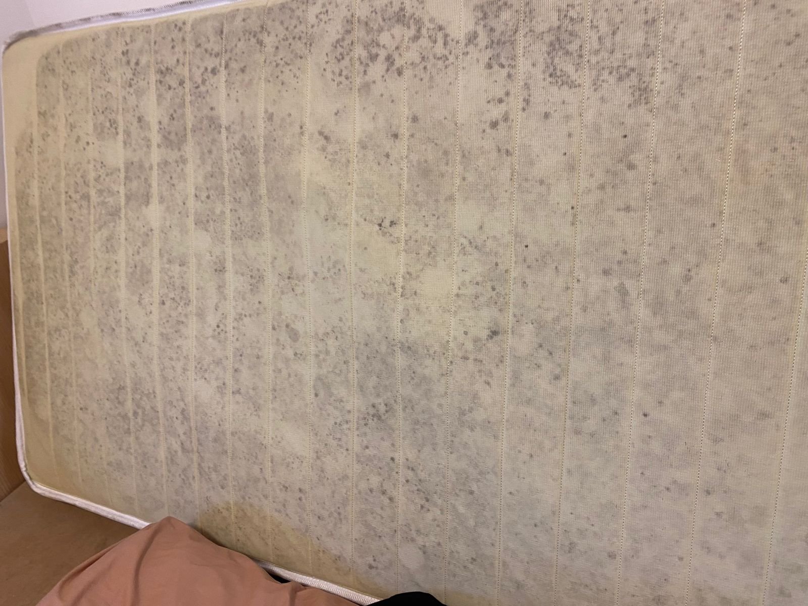 mold growth on mattress due to high humidity