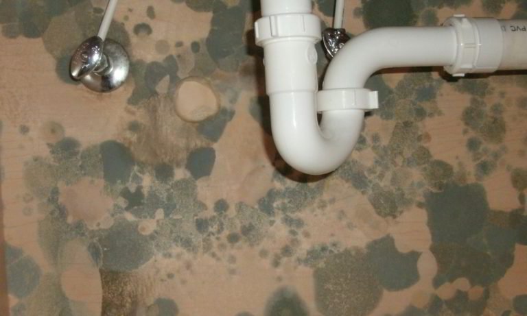 mold susceptible materials