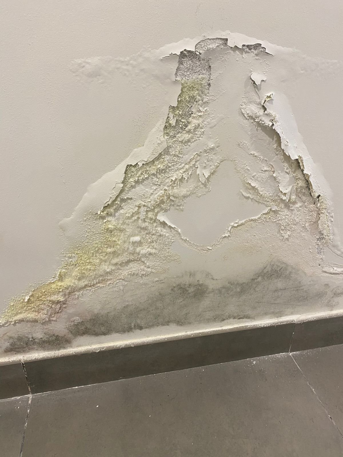 seepage in wall resulting mold growth