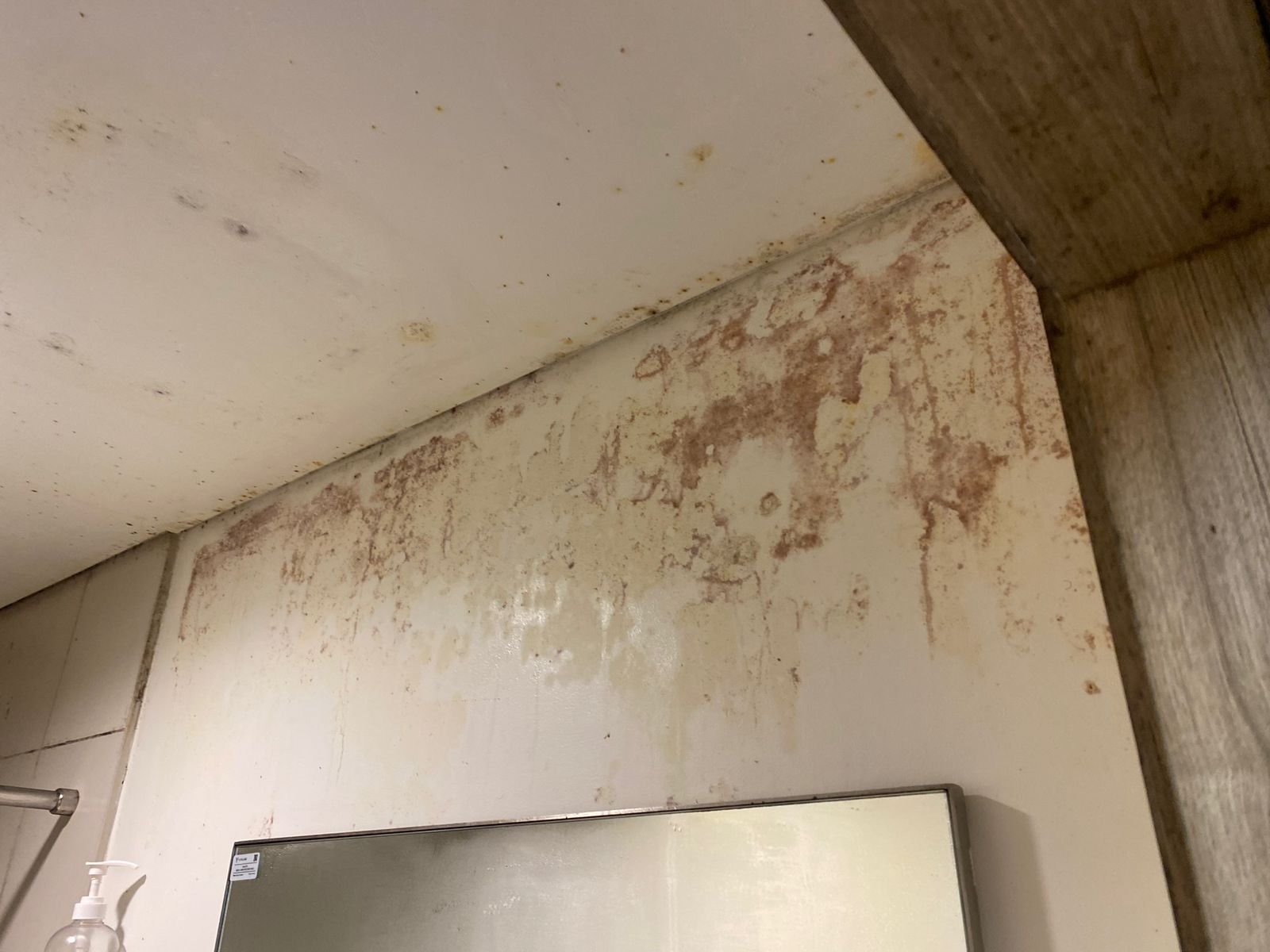 water damage on ceiling and mold